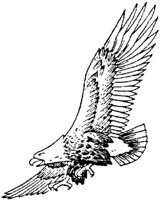 ADS105H.JPG