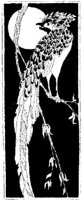 WMG031N.JPG