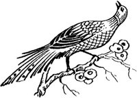 SIT080J.JPG