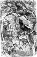 AMB122B.JPG