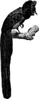 AMB120A.JPG