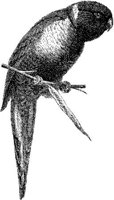 AMB114C.JPG