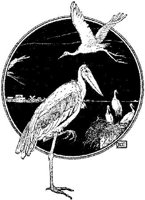 WMG031O.JPG