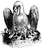VSI068B.JPG