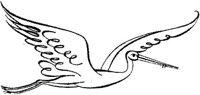 SIT081L.JPG