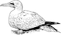 MAR026B.JPG