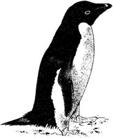 MAR021C.JPG