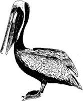 MAR012C.JPG