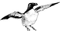 MAR003A.JPG