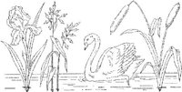 FLM079D.JPG