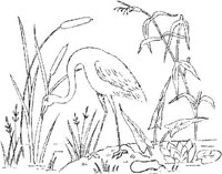 FLM077D.JPG