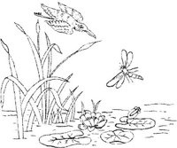 FLM076A.JPG