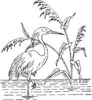 FLM073D.JPG