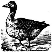 EAC026X.JPG