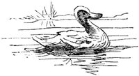 EAC022S.JPG
