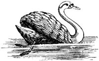 EAC022O.JPG