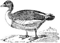 EAC022M.JPG