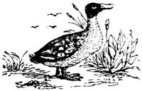 EAC022L.JPG