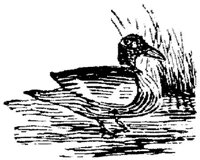 EAC022J.JPG