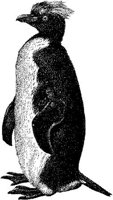 AMB126E.JPG