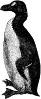AMB126C.JPG