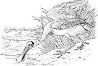 ABA036A.JPG