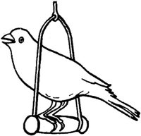 SIT080E.JPG