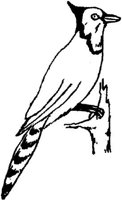SIT079O.JPG