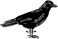 SIT079F.JPG