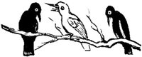 SIT074M.JPG