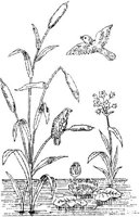 FLM080D.JPG