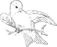 FLM075C.JPG