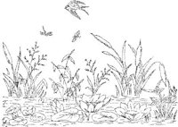 FLM074C.JPG
