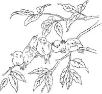 FLM071B.JPG