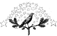 EAC095J.JPG