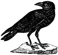 EAC028I.JPG