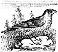 EAC028E.JPG