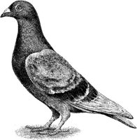 EAC025G.JPG