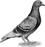 EAC025D.JPG