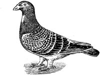 EAC025B.JPG