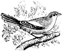EAC024W.JPG