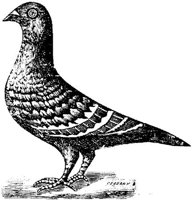 EAC024O.JPG
