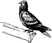 EAC024N.JPG