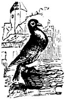 EAC024M.JPG