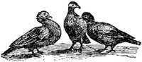 EAC024E.JPG