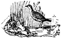 EAC024AA.JPG