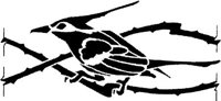 BSD042C.JPG