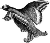AMB160E.JPG