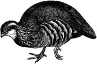 AMB160C.JPG