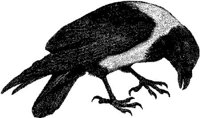 AMB149E.JPG